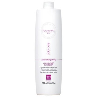 EVER EGO ITALY COLOR CARE SHAMPOO 1000 ML