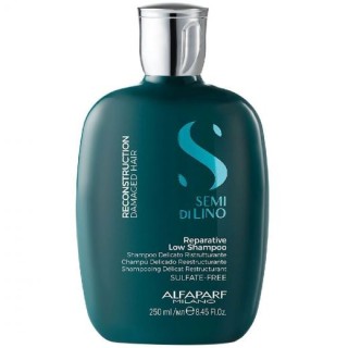 ALFAPARF MILANO SEMI DI LINO SHAMPOO (250 ML)